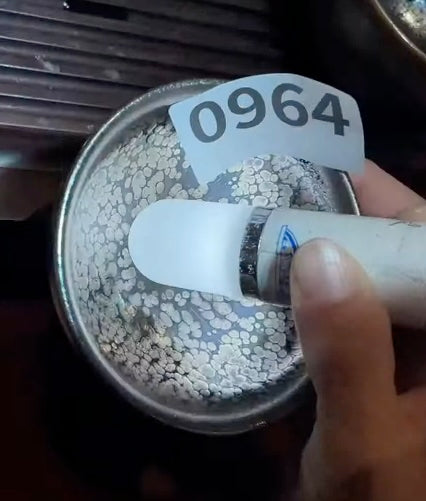 Today’s Live Selection - 2026-02-22