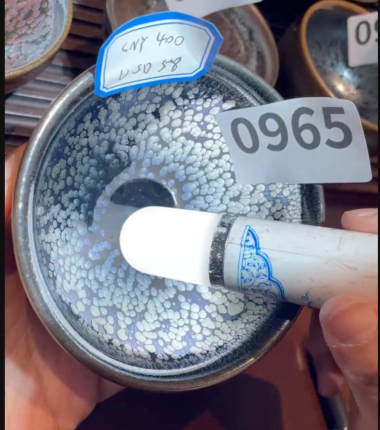 Today’s Live Selection - 2026-02-22