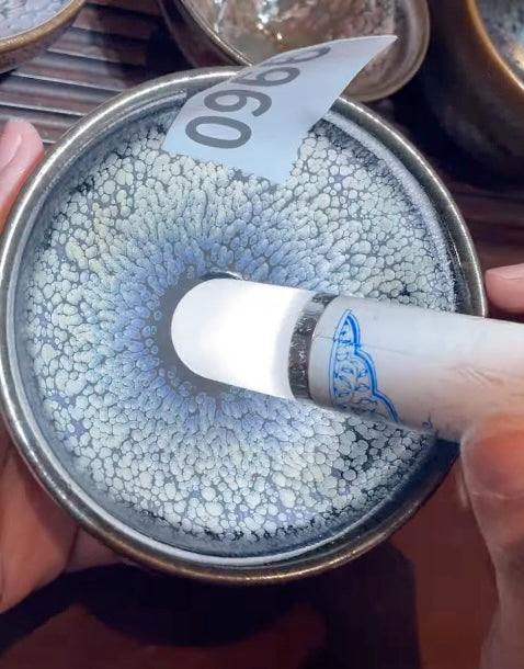 Today’s Live Selection - 2026-02-22