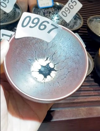 Today’s Live Selection - 2026-02-22