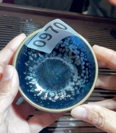 Today’s Live Selection - 2026-02-22