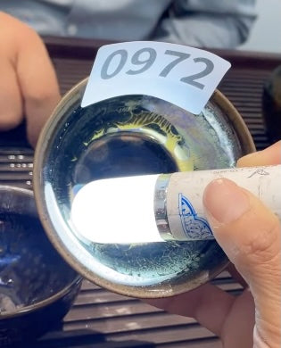 Today’s Live Selection - 2026-02-22