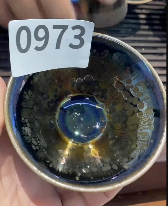 Today’s Live Selection - 2026-02-22