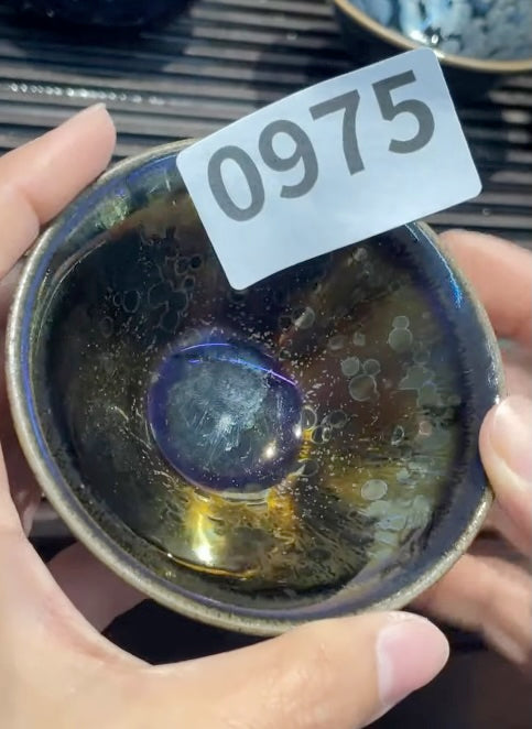 Today’s Live Selection - 2026-02-22