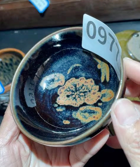 Today’s Live Selection