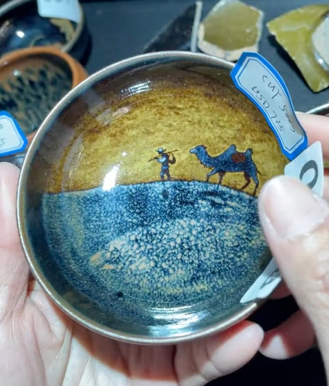 Today’s Live Selection