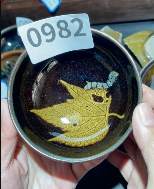 Today’s Live Selection