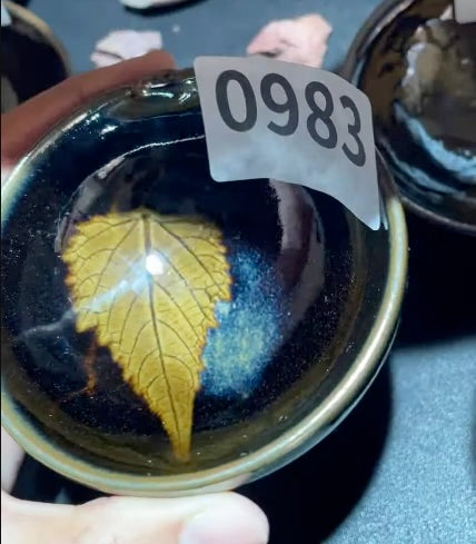 Today’s Live Selection