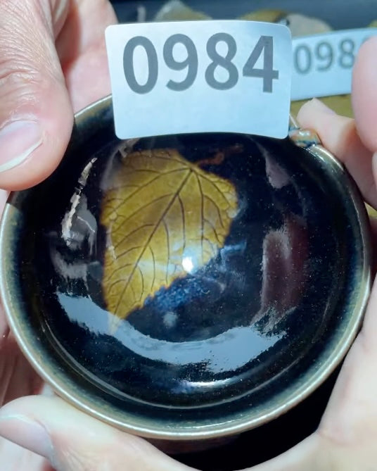 Today’s Live Selection