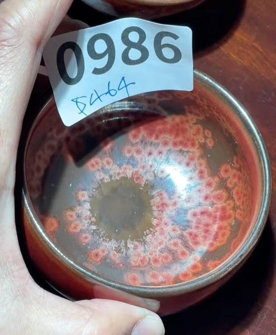 Today’s Live Selection-2026-02-24