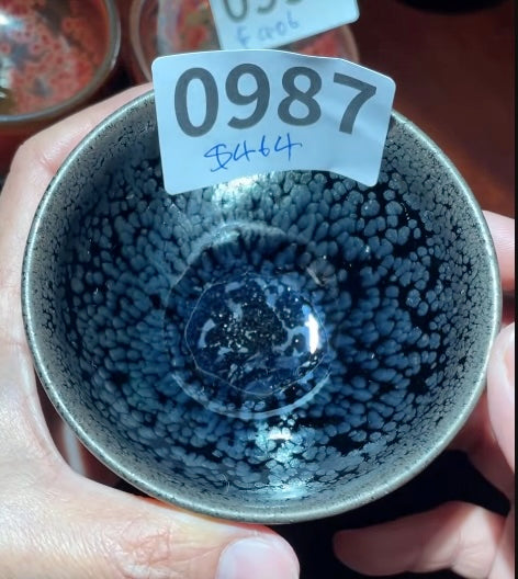 Today’s Live Selection-2026-02-24