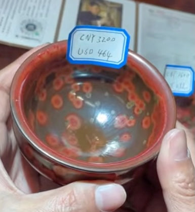 Today’s Live Selection-2026-02-24