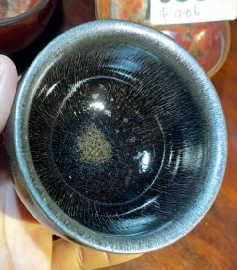 Today’s Live Selection-2026-02-24