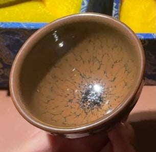 Today’s Live Selection-2026-03-26