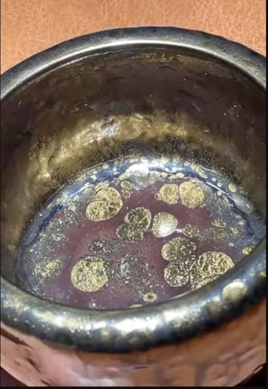 Today’s Live Selection-2026-03-26