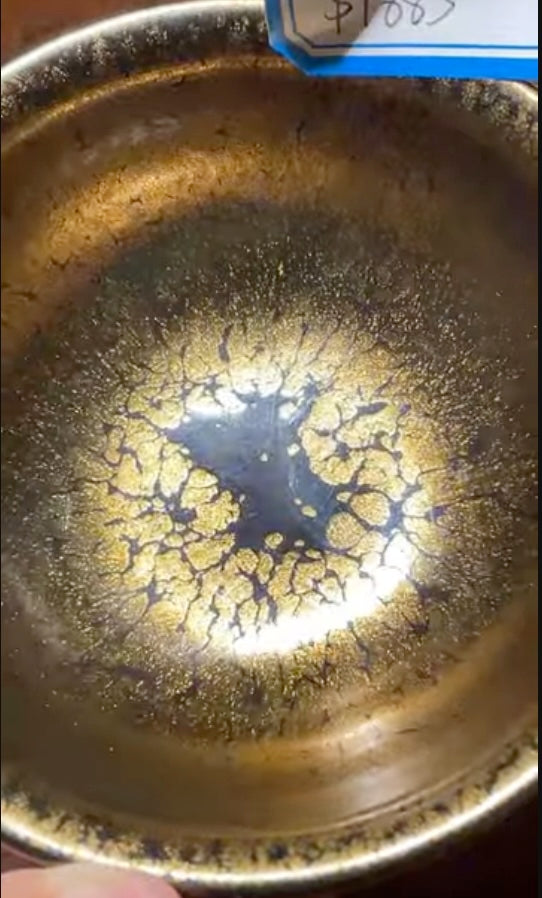 Today’s Live Selection-2026-03-26