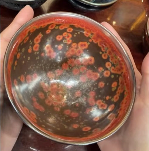 Today’s Live Selection-2026-02-24