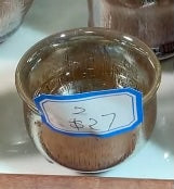 Today’s Live Selection-2026-02-25