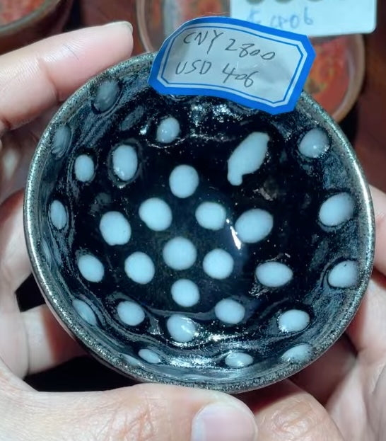 Today’s Live Selection-2026-02-24