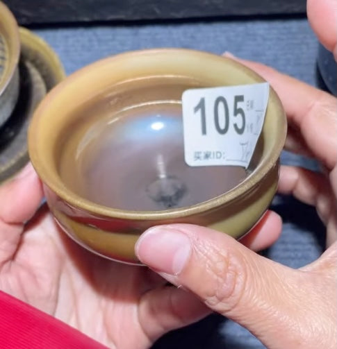 Today’s Live Selection-2026-03-01