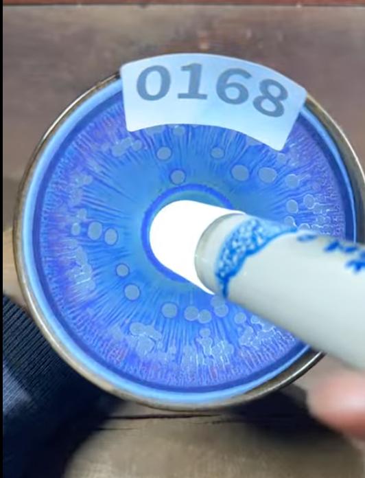 2026 January YouTube open kiln Jianzhan cup revealing! 一月直播精品