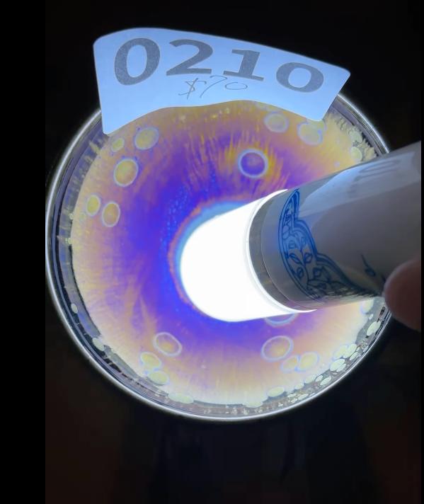 20260123 Meeting FeiXing Studio, Awesome Jianzhan teacups