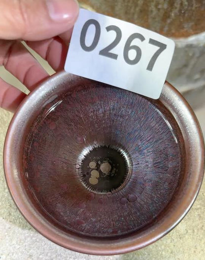 2026 January YouTube open kiln Jianzhan cup revealing! 一月直播精品